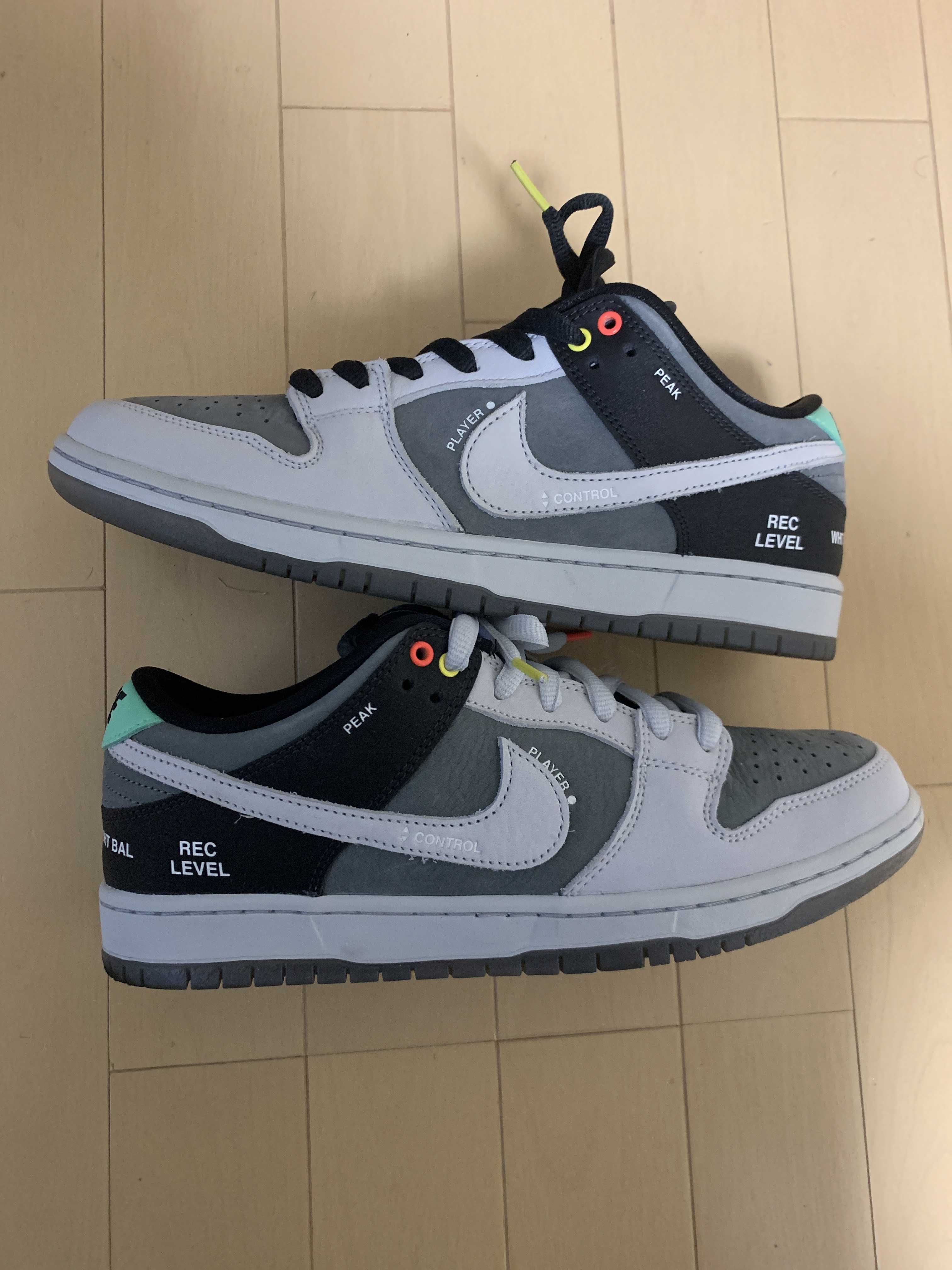 Nike SB Dunk Low Pro "VX1000 Camcorder"