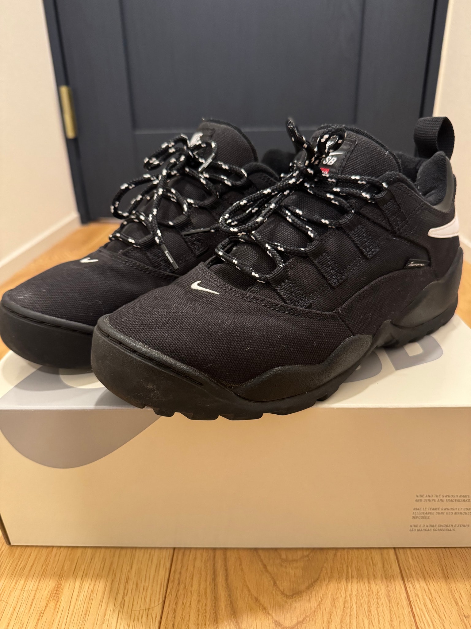 Supreme × Nike SB Darwin Low "Black"