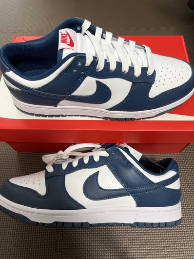 Nike Dunk Low "Valerian Blue"