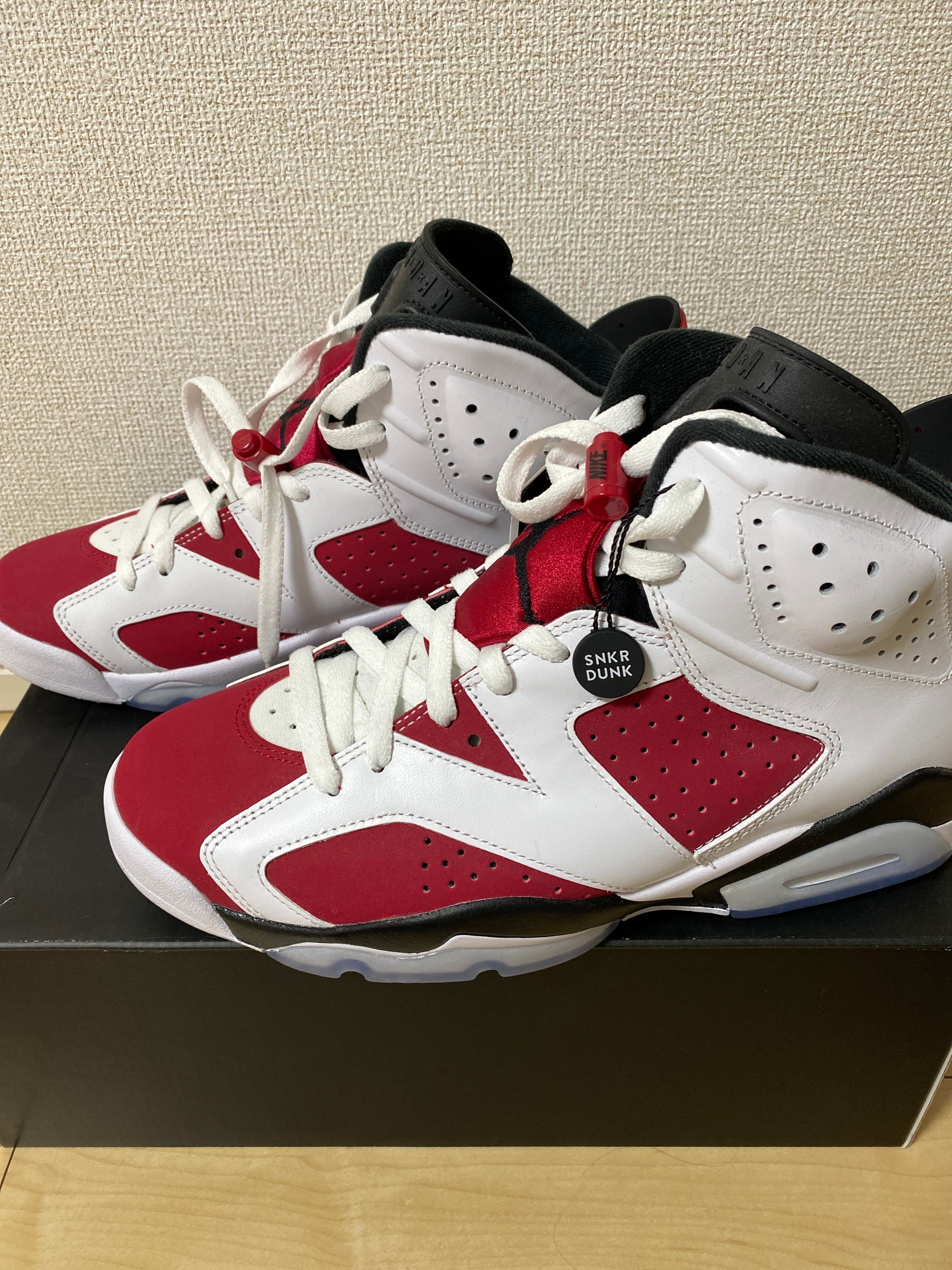 Nike Air Jordan 6 "Carmine" (2021)