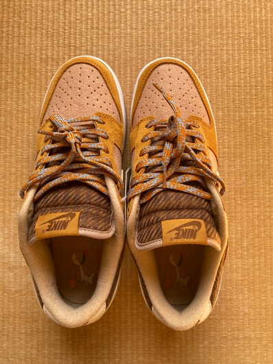 Nike Dunk Low Teddy Bear "Brown"