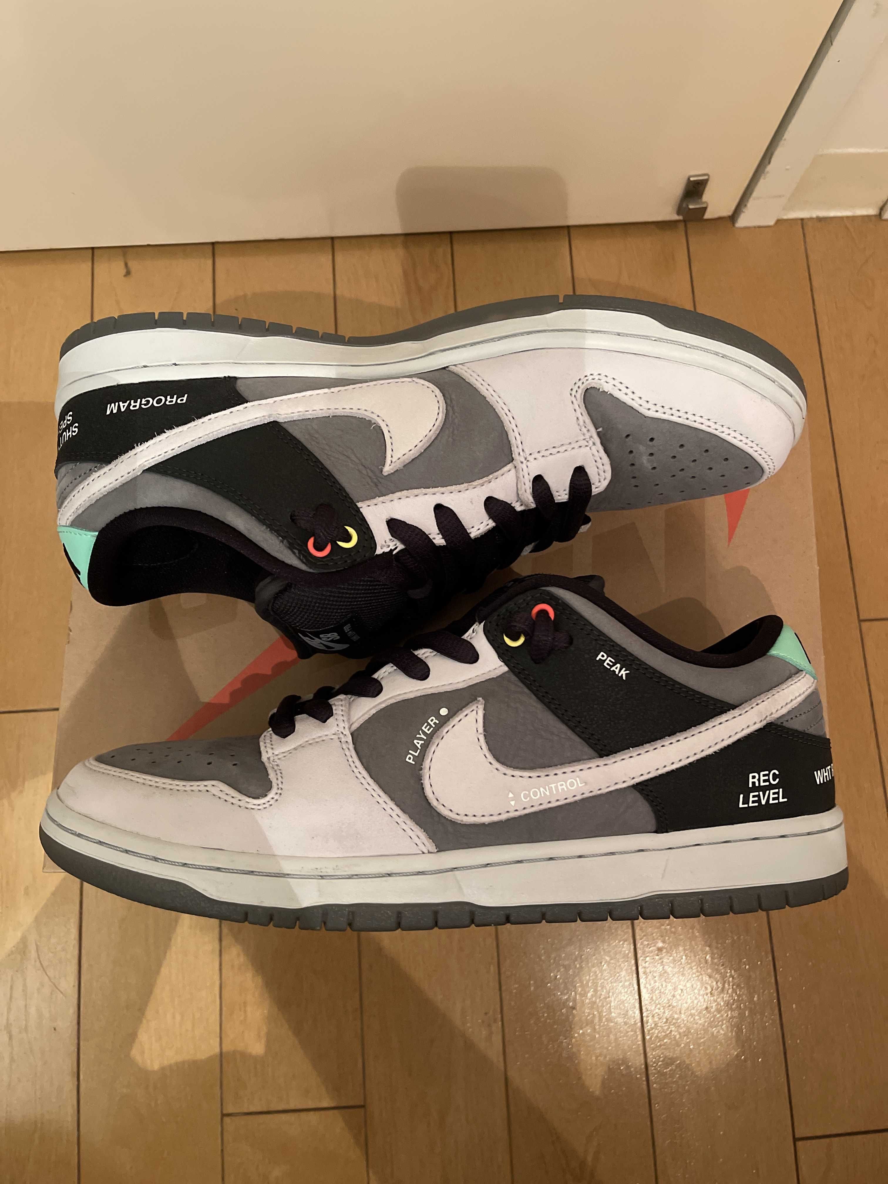 Nike SB Dunk Low Pro "VX1000 Camcorder"