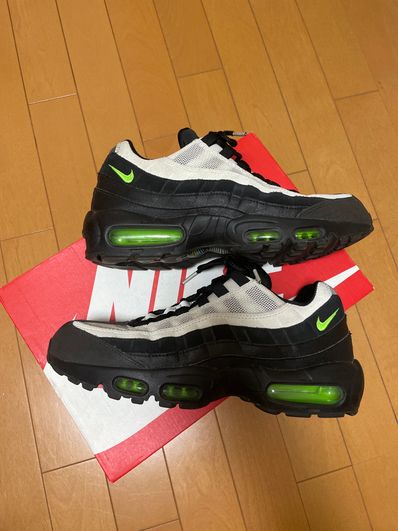 Nike Air Max 95 "Antifreeze" (2019)