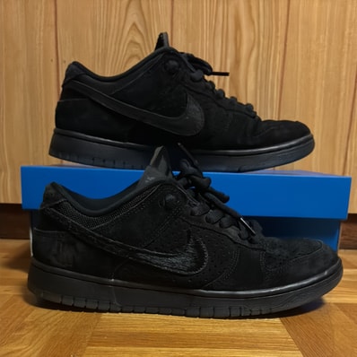 UNDEFEATED × Nike Dunk Low SP "5 ON IT"