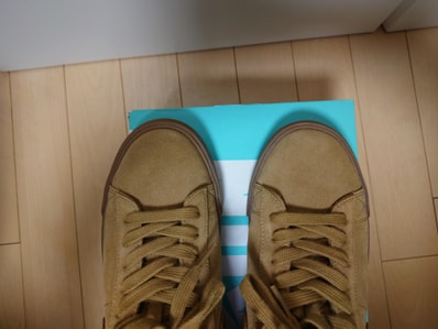 Supreme × Nike SB Blazer Low GT "Golden Beige"