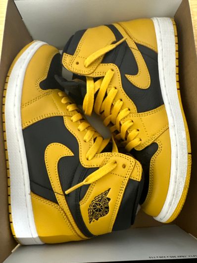Nike Air Jordan 1 High OG "Pollen"