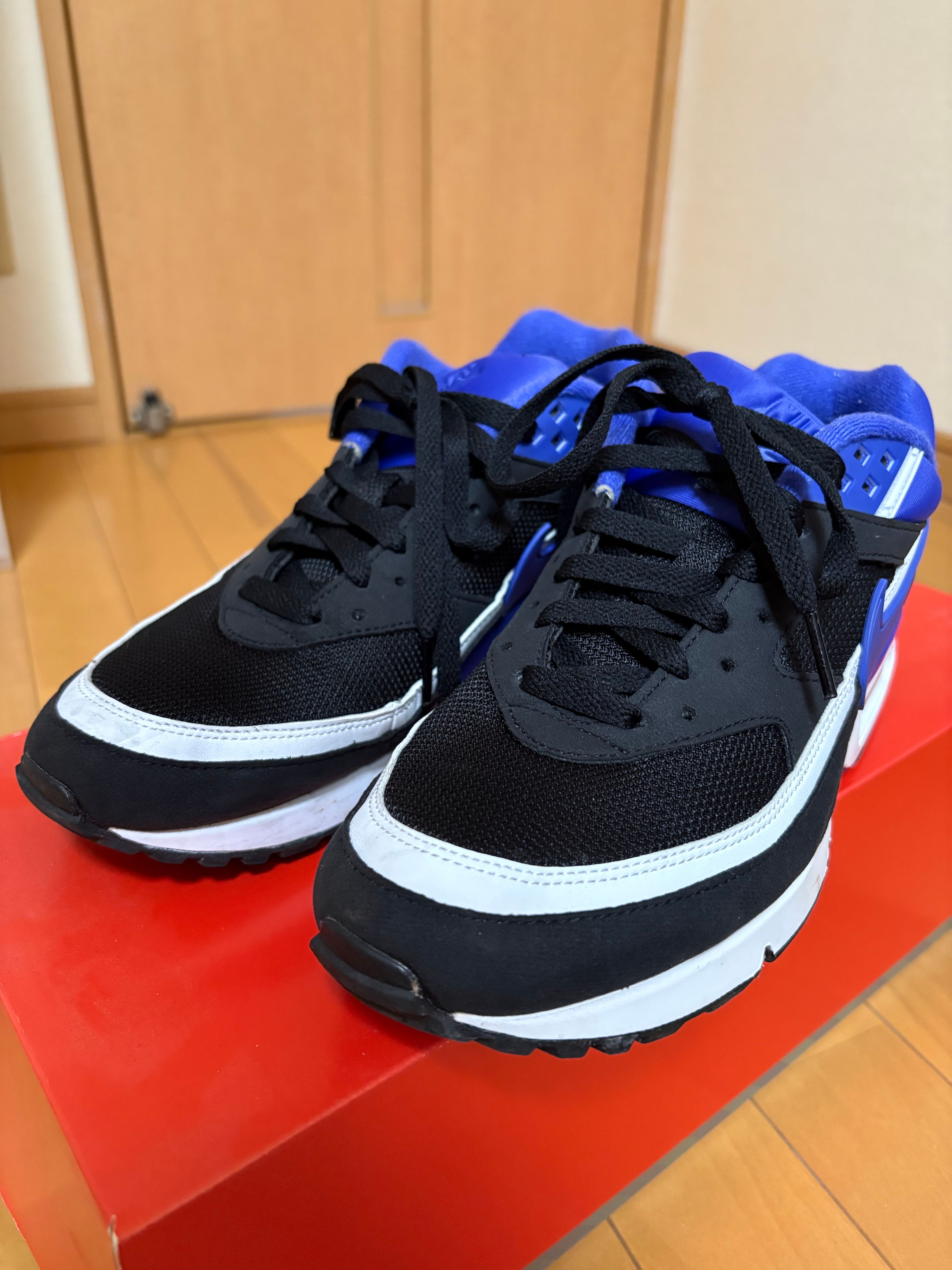 Nike Air Max BW "Persian Violet"