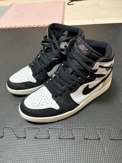 Nike Air Jordan 1 High OG "Bleached Coral"