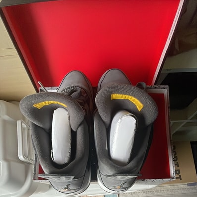 Nike Air Jordan 4 "Cool Grey"