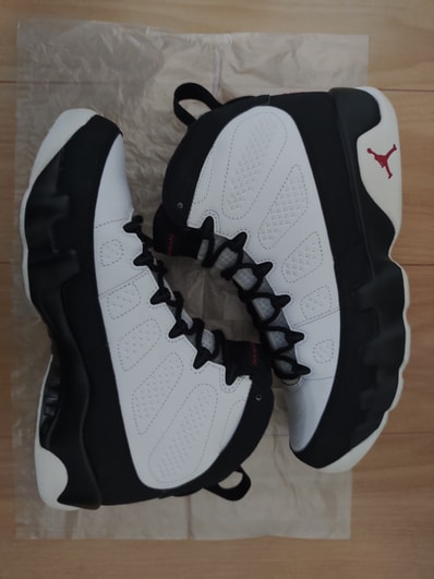 Nike Air Jordan 9 Retro "Space Jam" (2016)