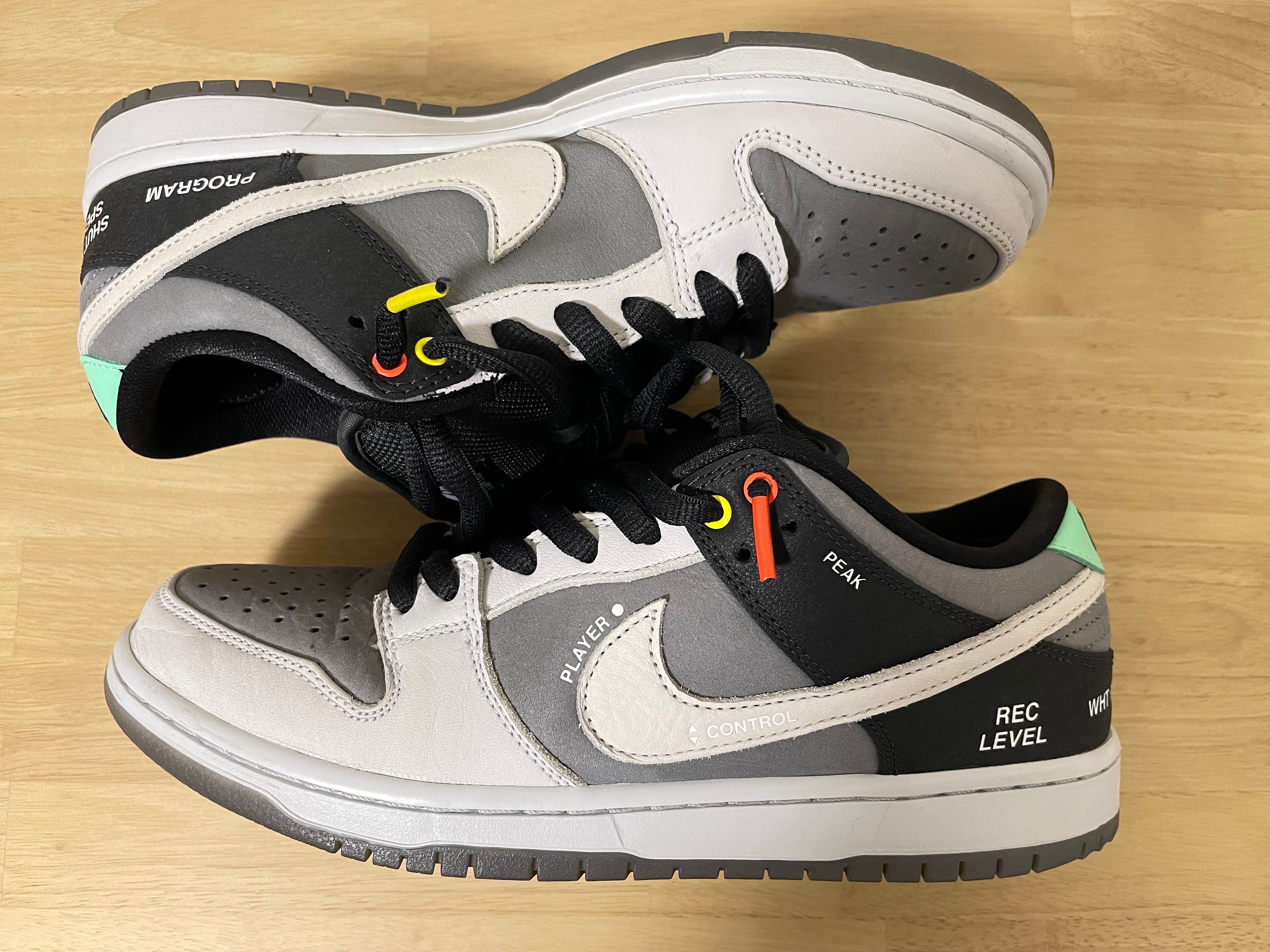 Nike SB Dunk Low Pro "VX1000 Camcorder"