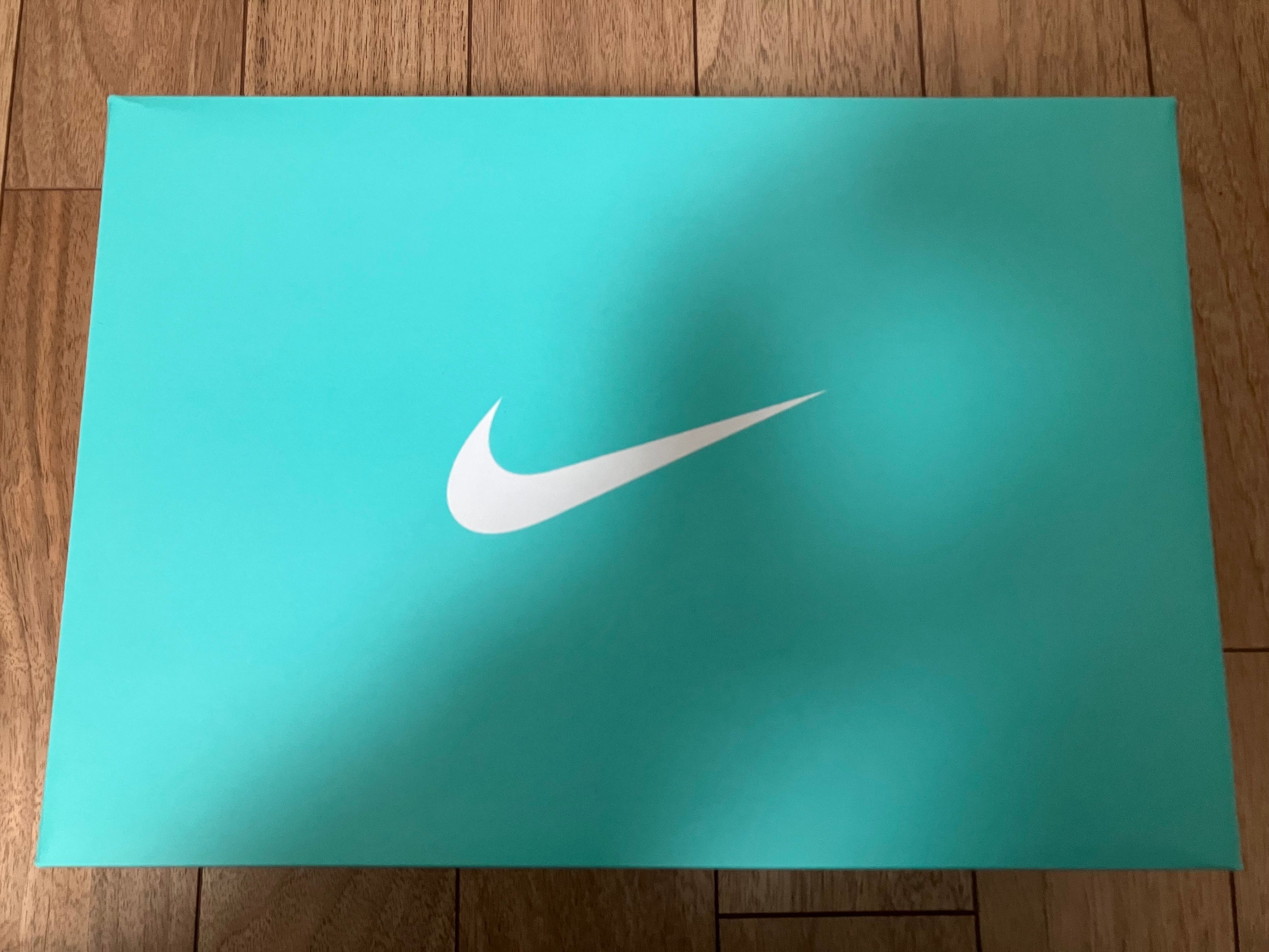 Tiffany & Co. × Nike Air Force 1 Low "1837"