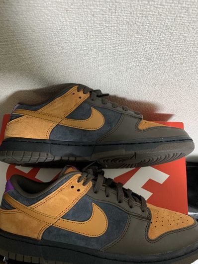 Nike Dunk Low "Cider"