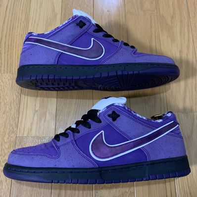 Concepts × Nike SB Dunk Low