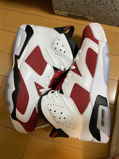 Nike Air Jordan 6 "Carmine" (2021)