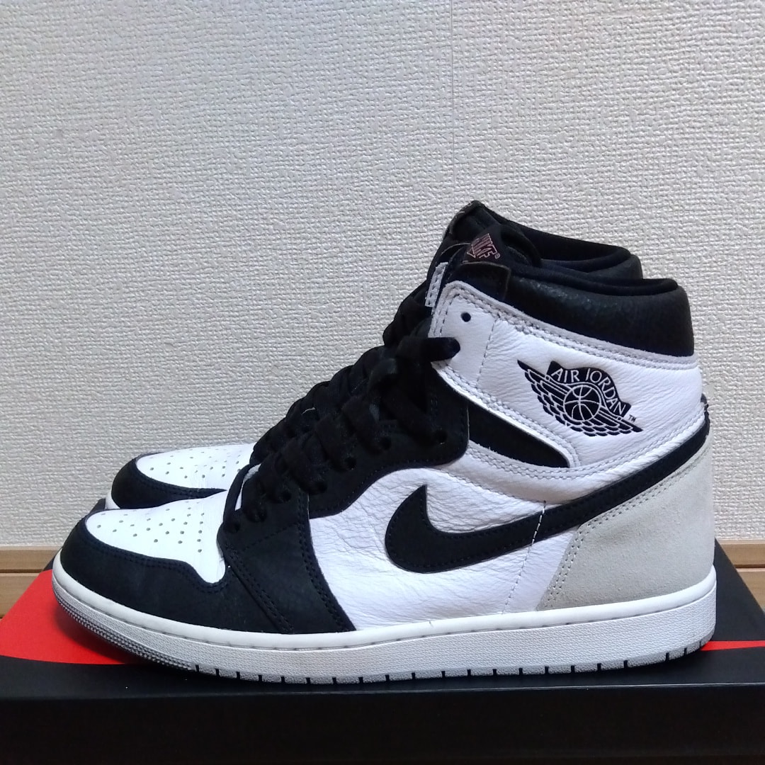 Nike Air Jordan 1 High OG "Bleached Coral"