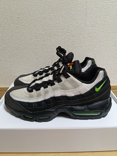 Nike Air Max 95 "Antifreeze" (2019)