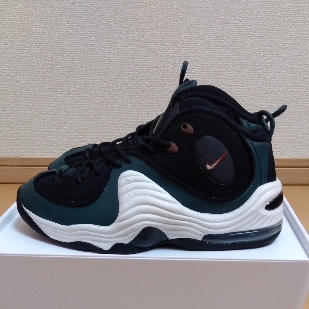 ナイキ エアペニー2 "ブラック/フェイドスプルース/ダークポニー"