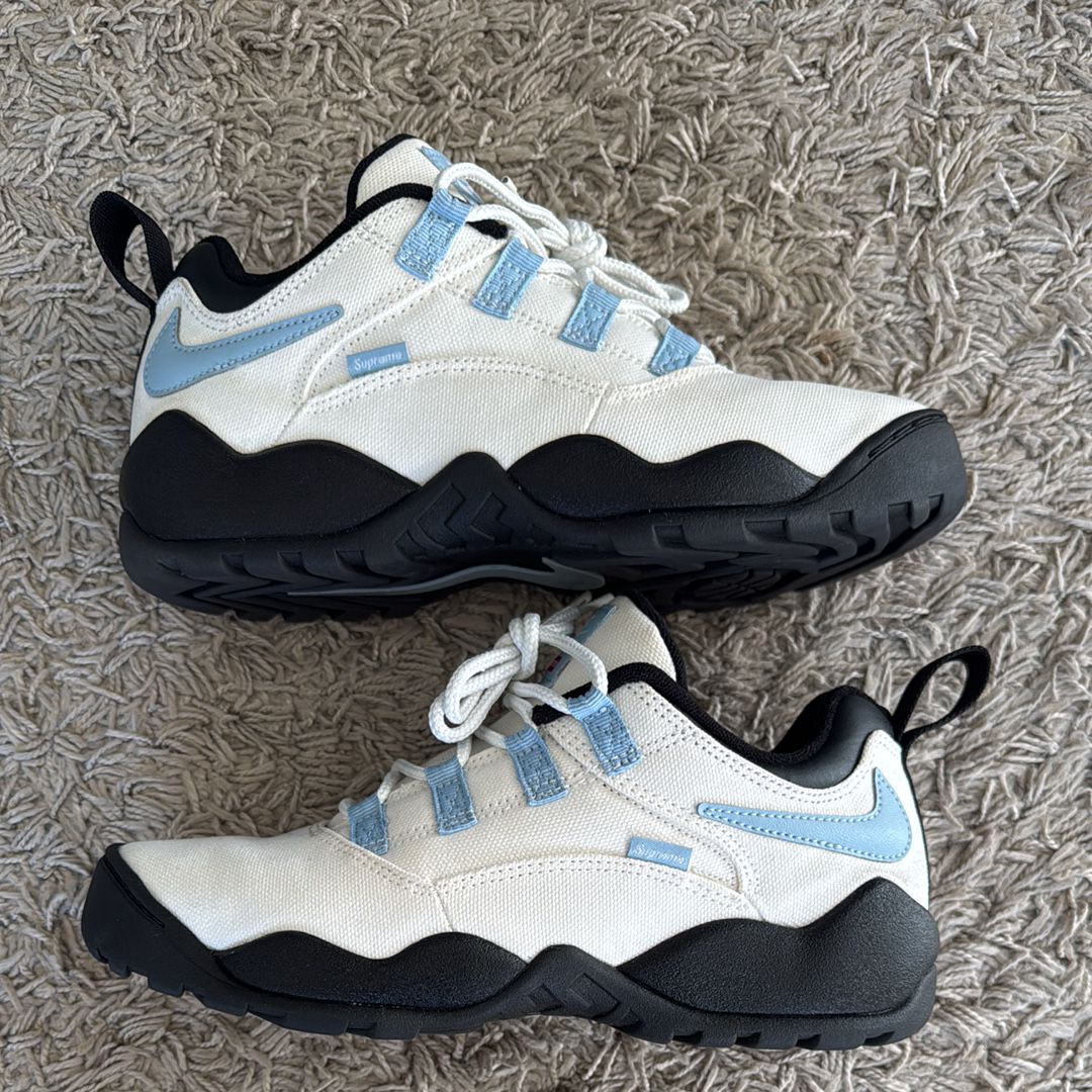 Supreme × Nike SB Darwin Low "White"