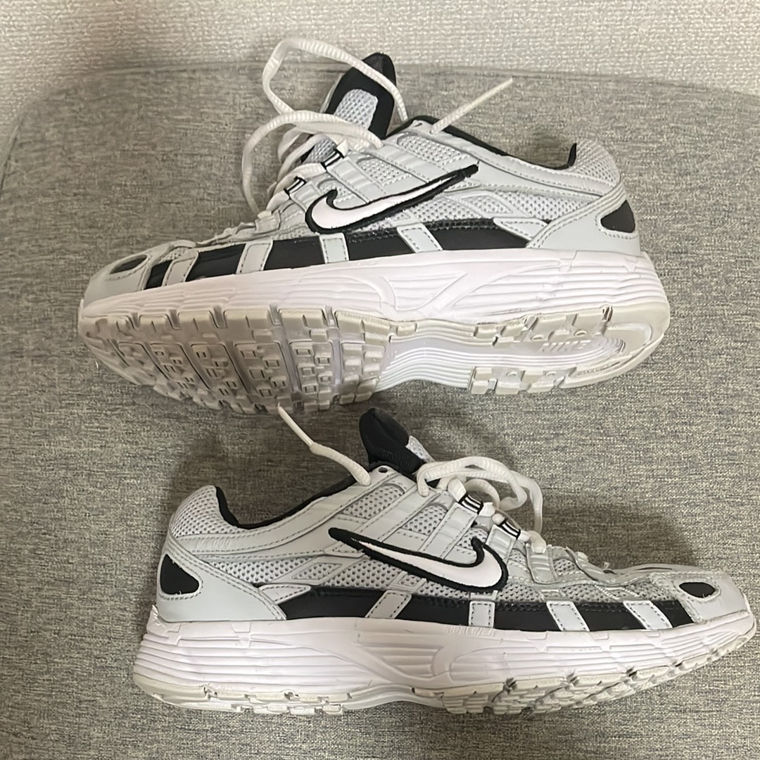 ナイキ P-6000 "ピュアプラチナム"
