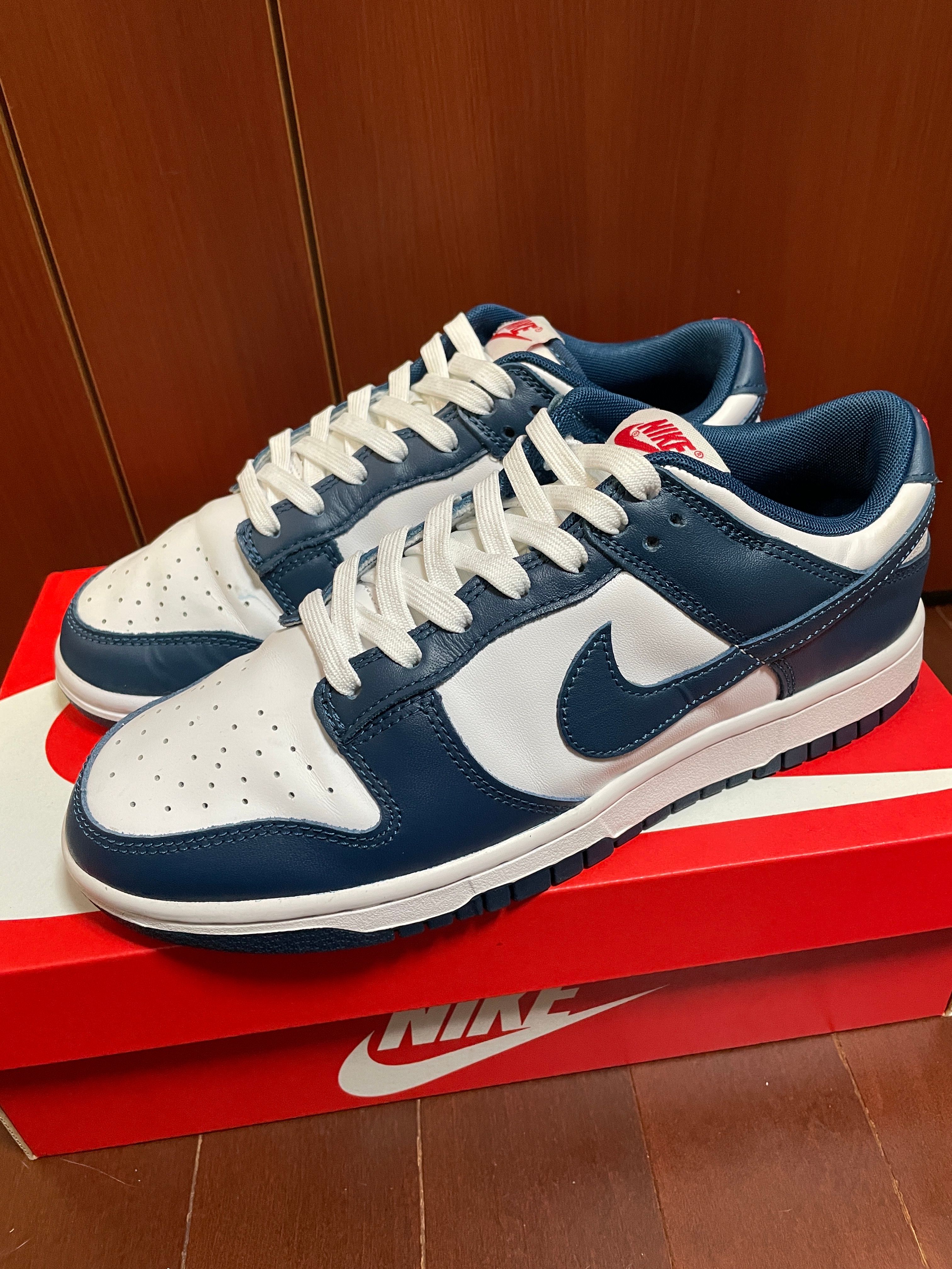 Nike Dunk Low "Valerian Blue"