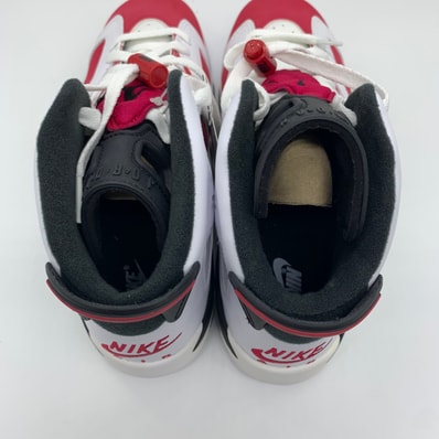 Nike Air Jordan 6 GS "Carmine" (2021)