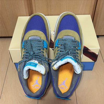 Union × Nike Air Jordan 4 SP "Desert Moss"