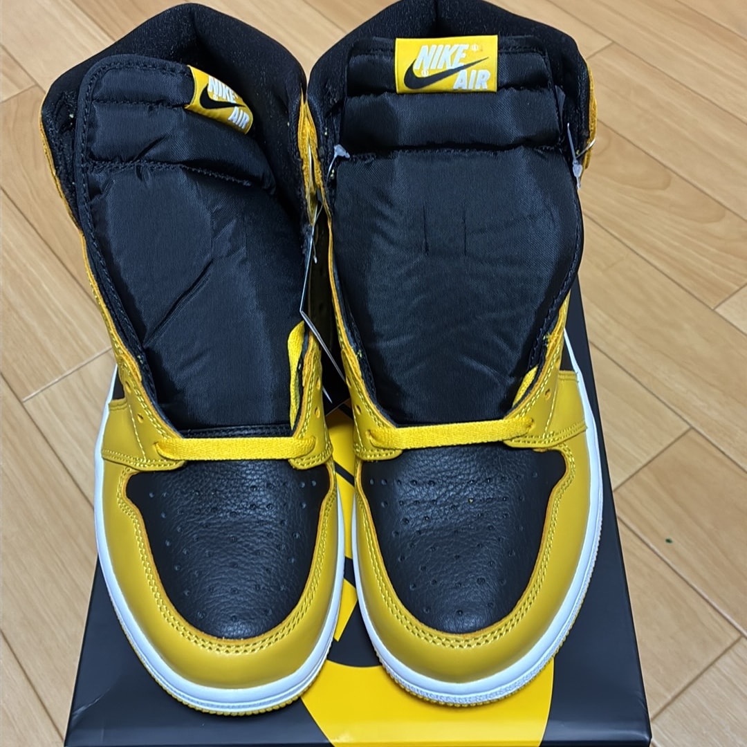 Nike Air Jordan 1 High OG "Pollen"