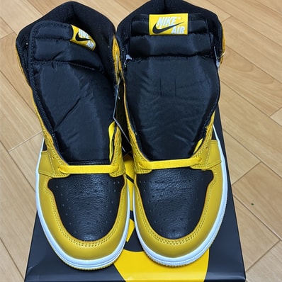 Nike Air Jordan 1 High OG "Pollen"
