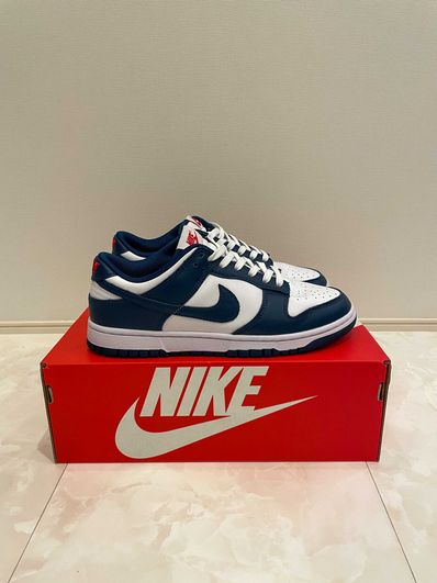 Nike Dunk Low "Valerian Blue"