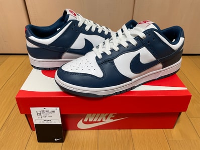 Nike Dunk Low "Valerian Blue"