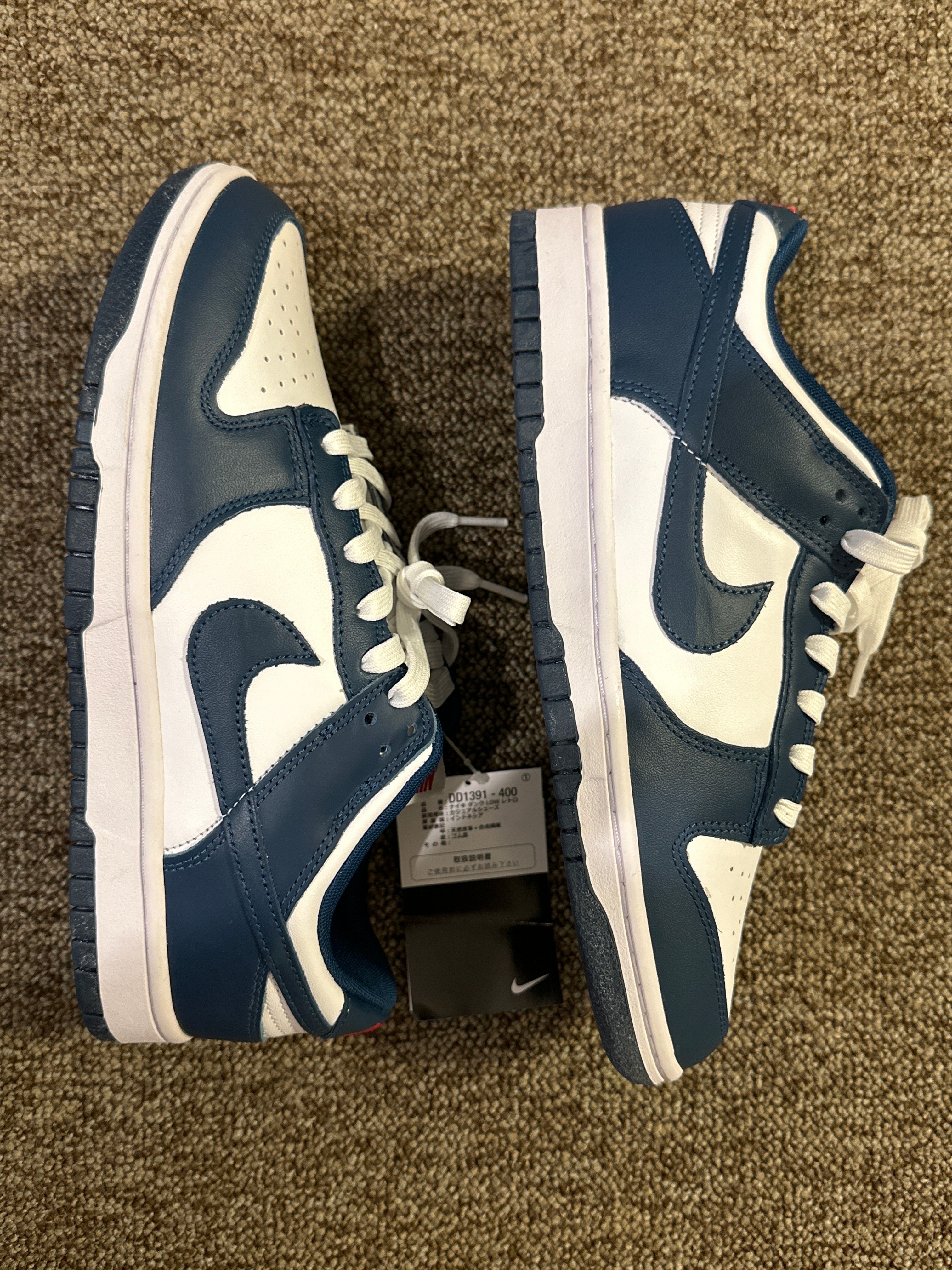 Nike Dunk Low "Valerian Blue"