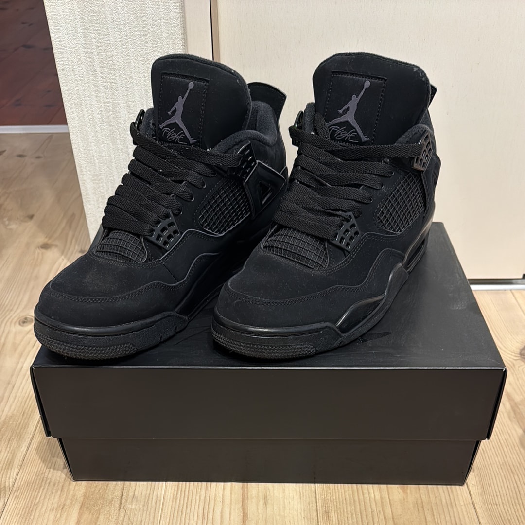 Nike Air Jordan 4 "Black Cat"