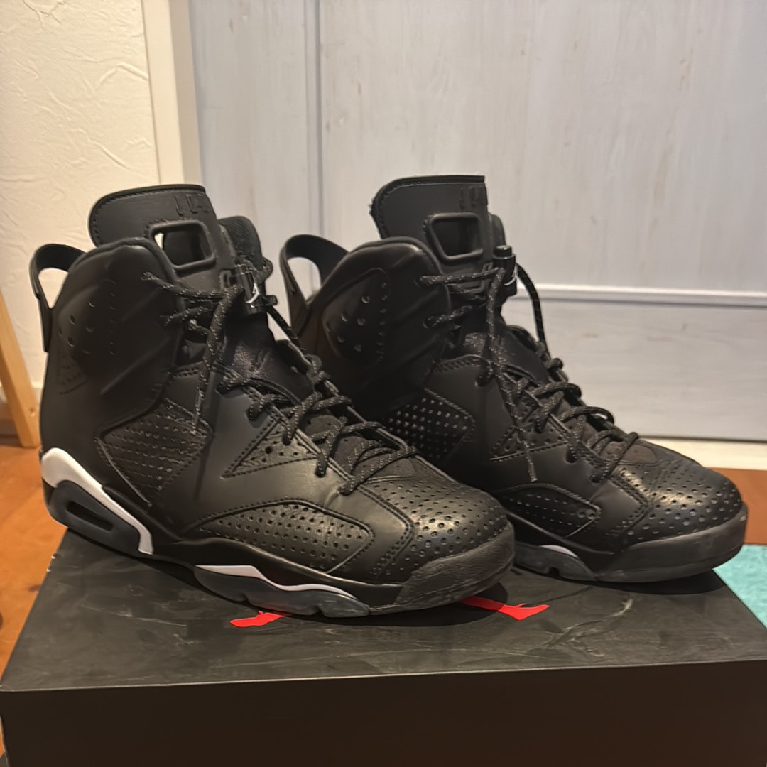Nike Air Jordan 6 Retro "Black Cat"