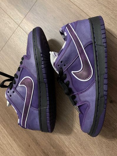 Concepts × Nike SB Dunk Low "Purple Lobster"