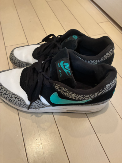 atmos × Nike Air Max 1 PRM Retro "Elephant/Safari" (2007)