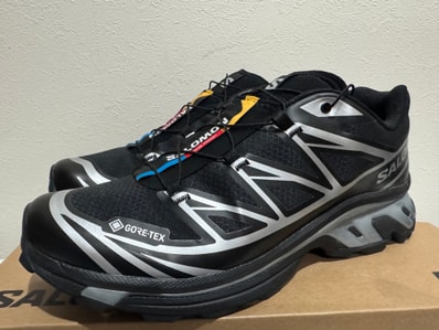 Salomon XT-6 GORE-TEX "Black/Footwear Silver"