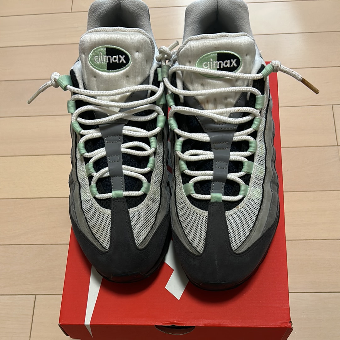 ナイキ エアマックス95 "フレッシュミント"