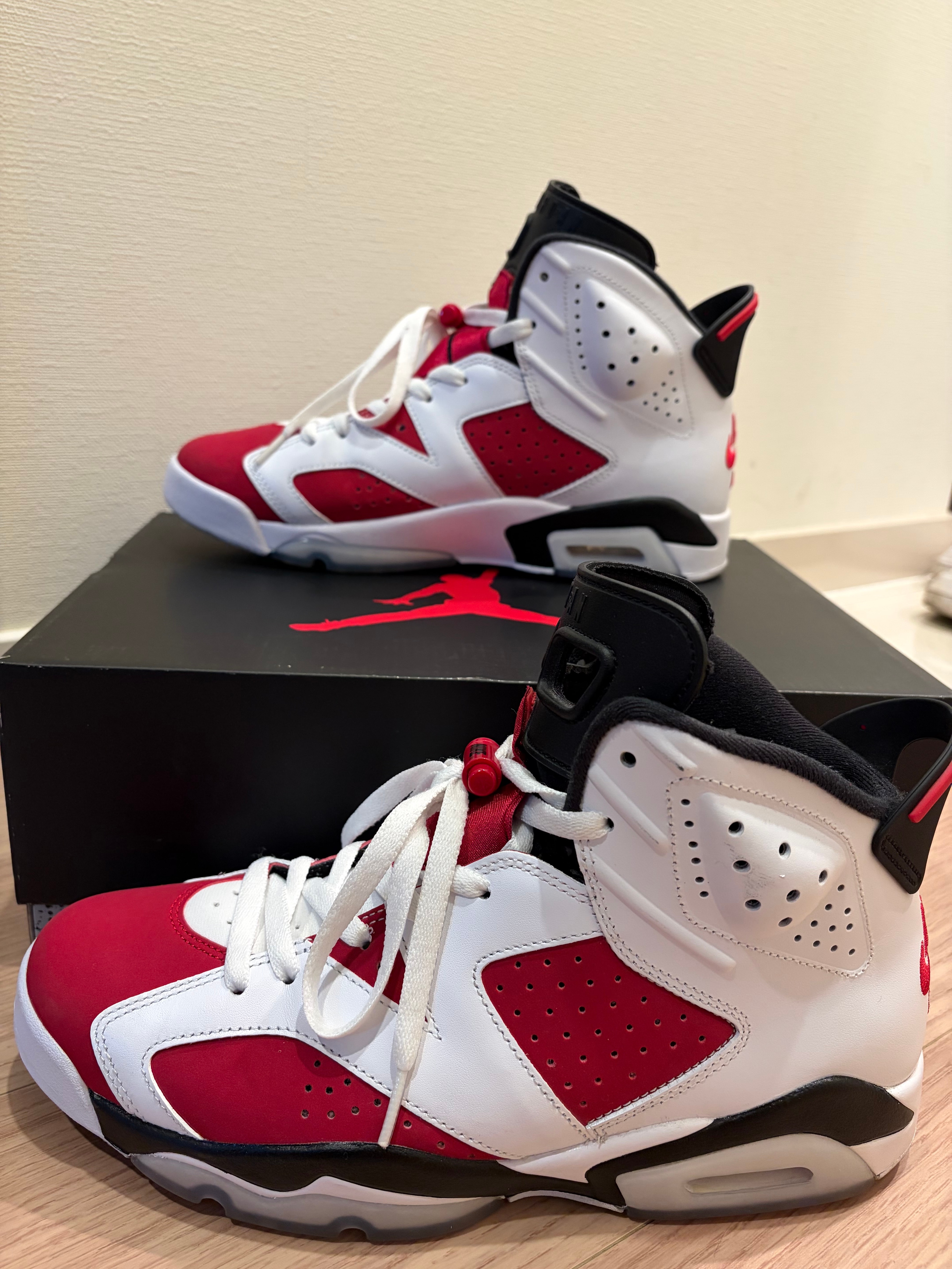 Nike Air Jordan 6 "Carmine" (2021)