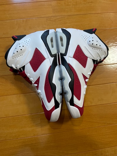 Nike Air Jordan 6 "Carmine" (2021)