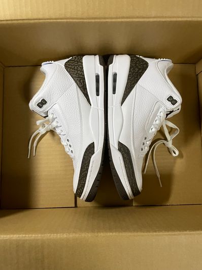 Nike Air Jordan 3 Retro "Mocha" (2018)