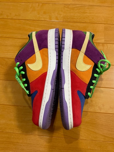 Nike Dunk Low SP "Viotech"