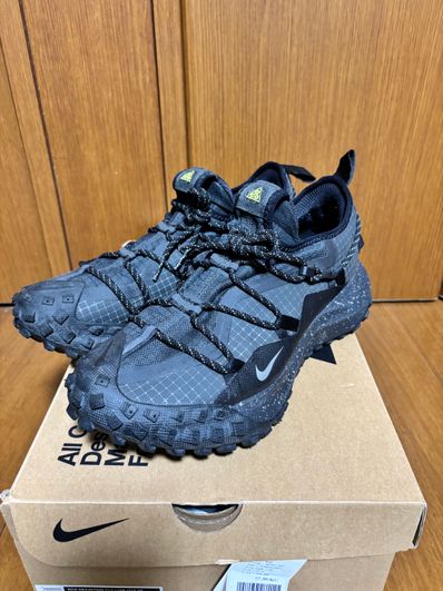 Nike ACG Mountain Fly Low GTX SE "Black"