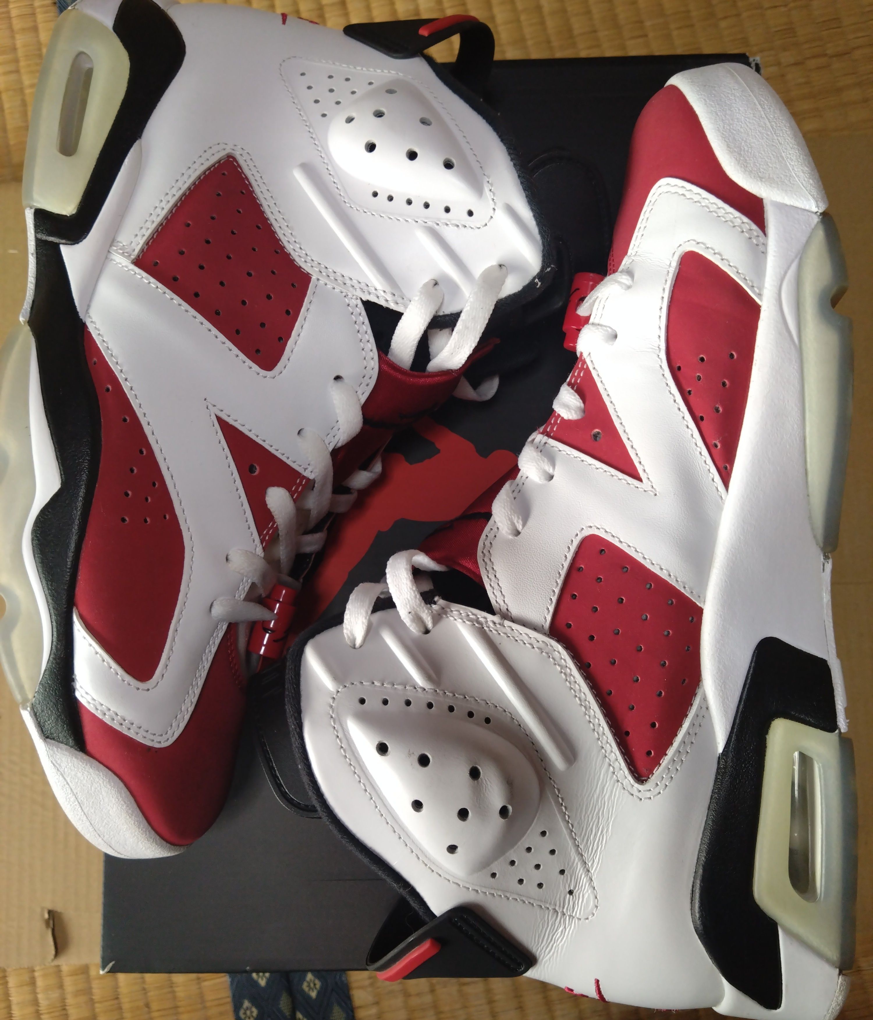 Nike Air Jordan 6 "Carmine" (2021)