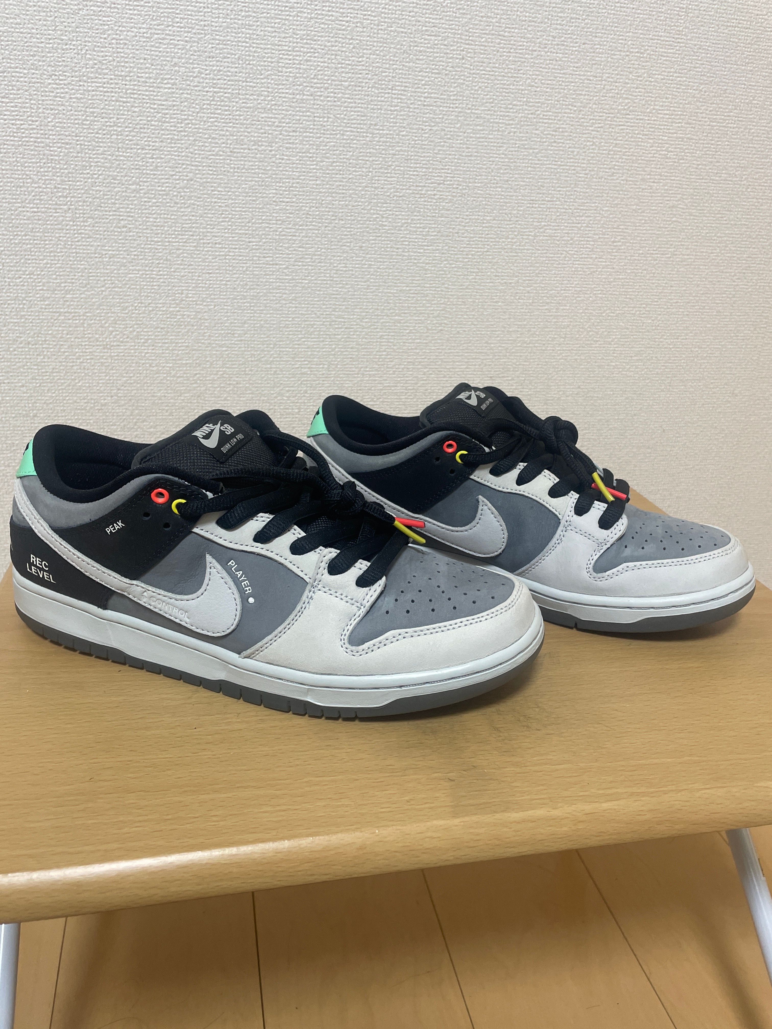 SB ダンク ロー プロ SB DUNK LOW PRO VX1000 CAMCORDER 正規品 Nike SB Dunk Low 