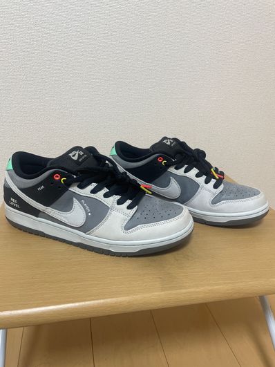 Nike SB Dunk Low Pro "VX1000 Camcorder"