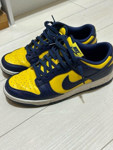 Nike Dunk Low "Michigan"