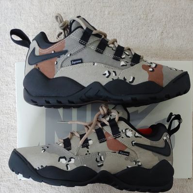 Supreme × Nike SB Darwin Low "Desert Camo"