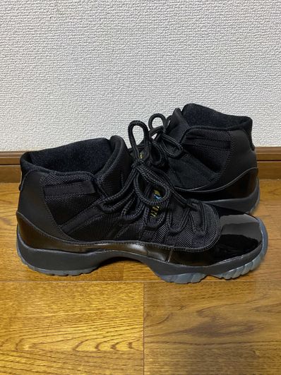 Nike Air Jordan 11 "Gamma" (2013)