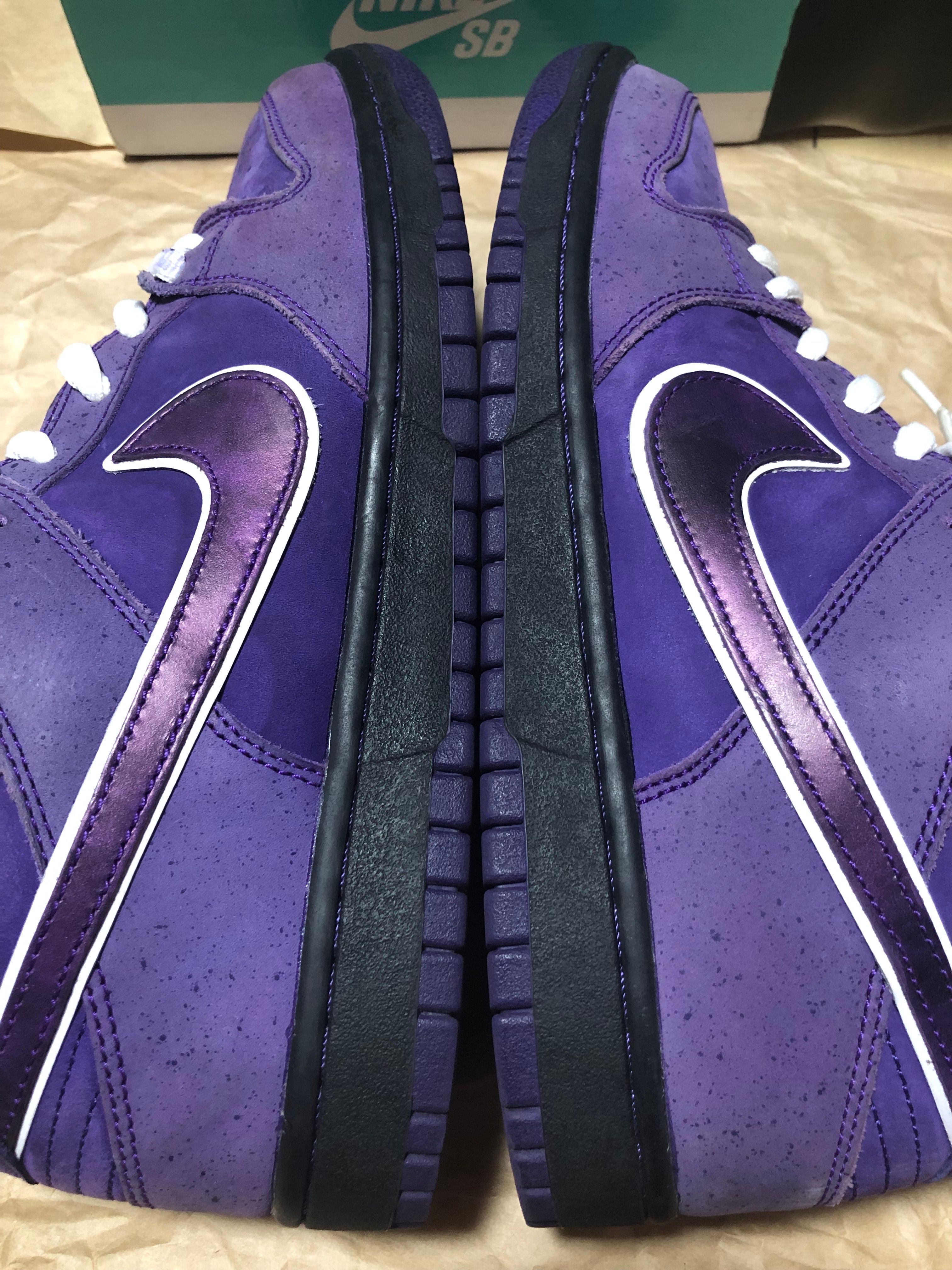 Concepts × Nike SB Dunk Low "Purple Lobster"